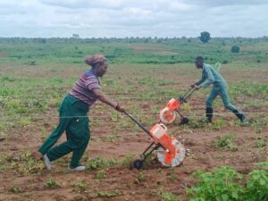 How Gov Otu's Project Grow is Accelerating Land Allocation To Farmers in Cross River

 