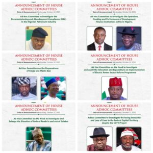 Bassey Akiba chair Decommissioning and Abandonment Compliance