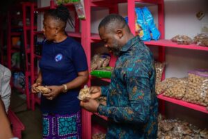 The Cross River State Microfinance and Enterprise Development Agency (CRSMEDA) began an advisory inspection and site verification exercise for small businesses across the State