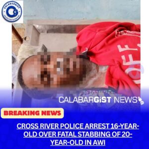 Cross River State Police Command begins investigation into fatal stabbing in Awi, Calabar